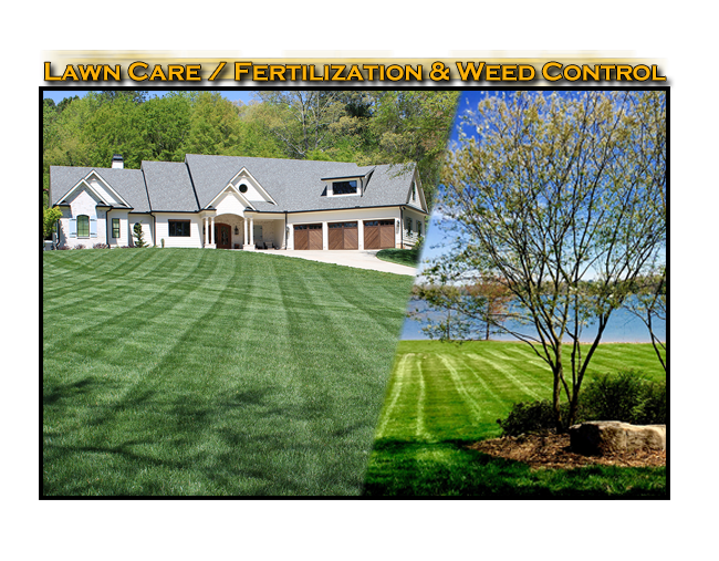 Lawn Care / Fertilization and Weed Control - Gainesville, Georgia - Northeast Georgia